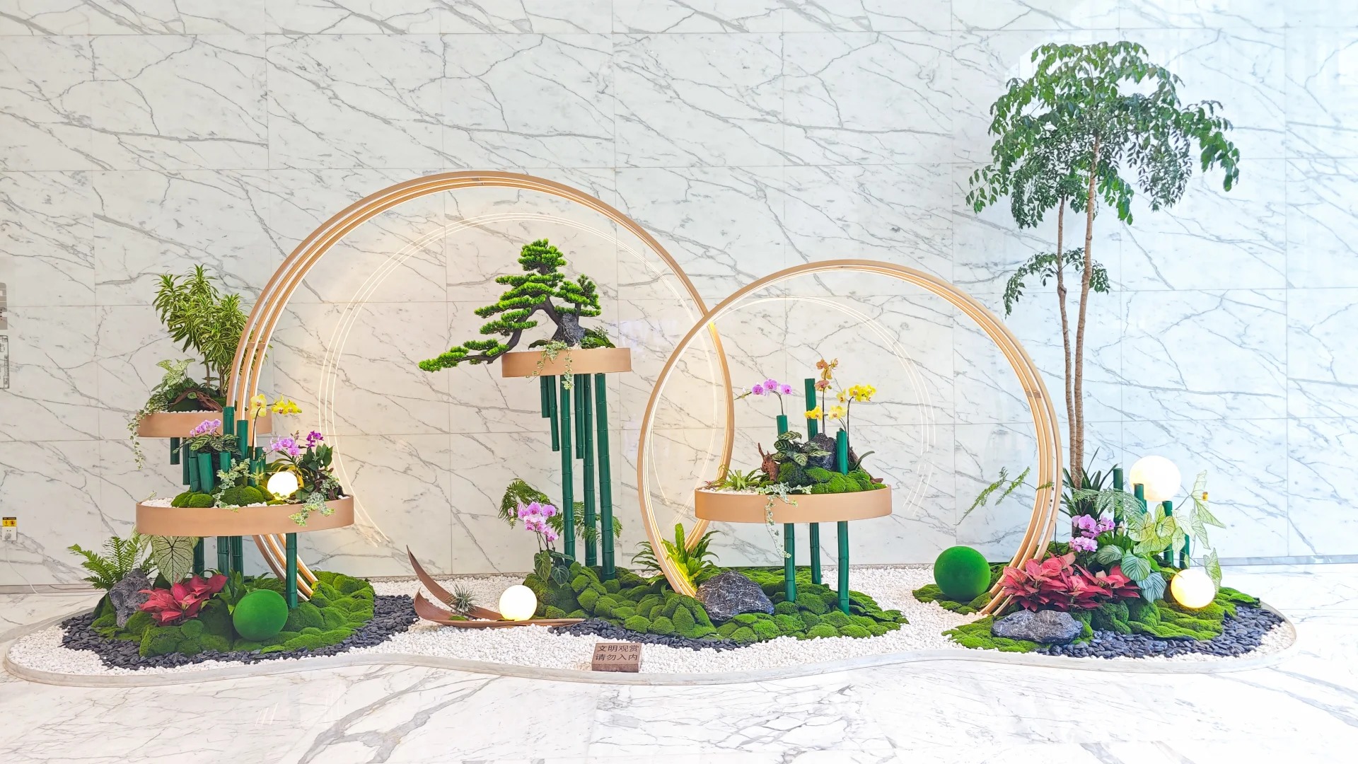 专业植物出租,为宁波奉化增添一抹生机